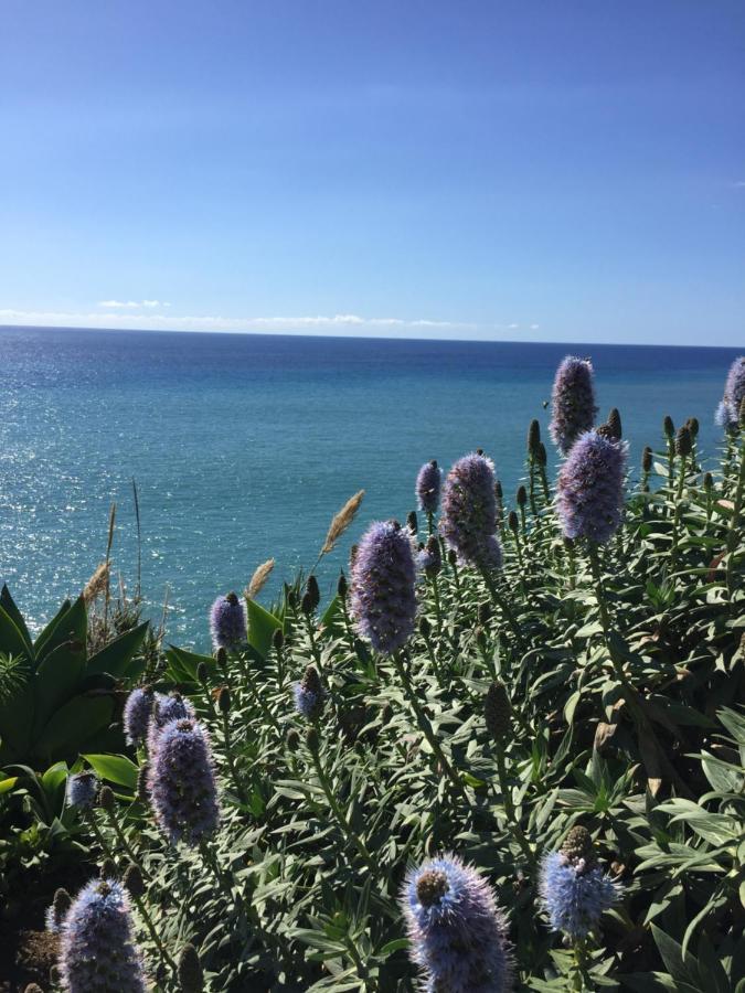 Calheta Ocean View Apartments 1 - Air Condition Estreito Da Calheta Zewnętrze zdjęcie